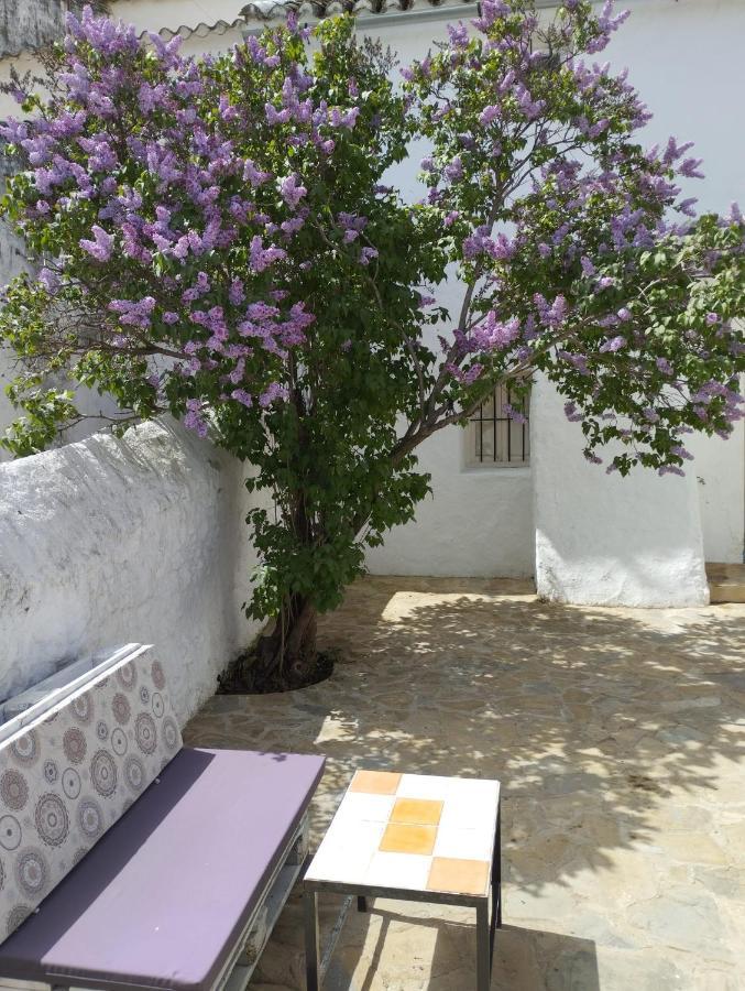Casa Bejar, Tranquila Casa Con Chimenea, Patios, Junto A La Piscina Βίλα Canete la Real Εξωτερικό φωτογραφία